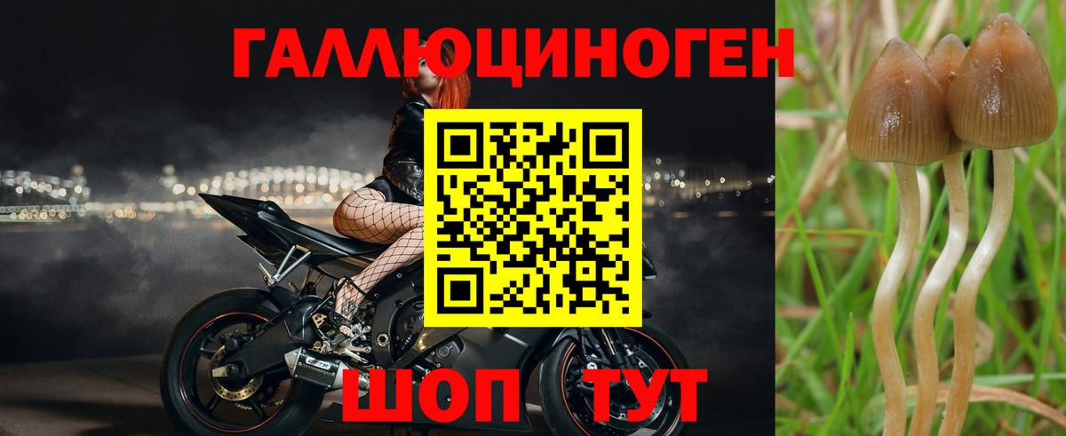 Лыткарино  Псилоцибиновые грибы ЛСД  Вход с VPN 